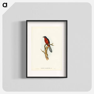 オーストラリア