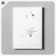 2-75_The-Lilies_canvas