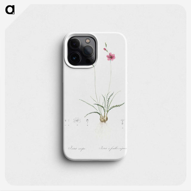 2-75_The-Lilies_phone
