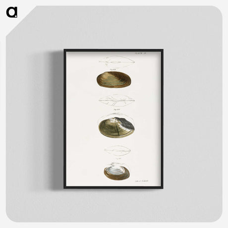 2-75_Zoology-of-New-York_blk-crop