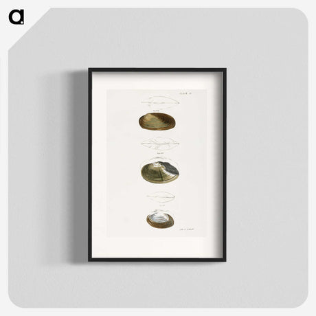 2-75_Zoology-of-New-York_blk