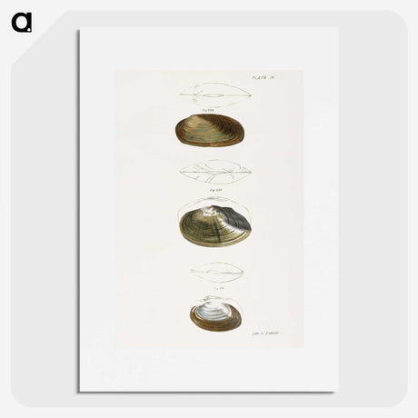 2-75_Zoology-of-New-York_picture