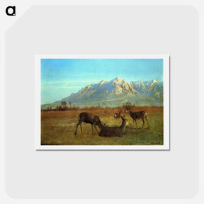 アートポストカード-Deer in a Mountain Home - アルバート ビアスタット Postcard.