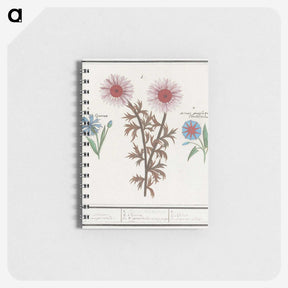 2-76_Anselmus-Boetius-de-Boodt_memo