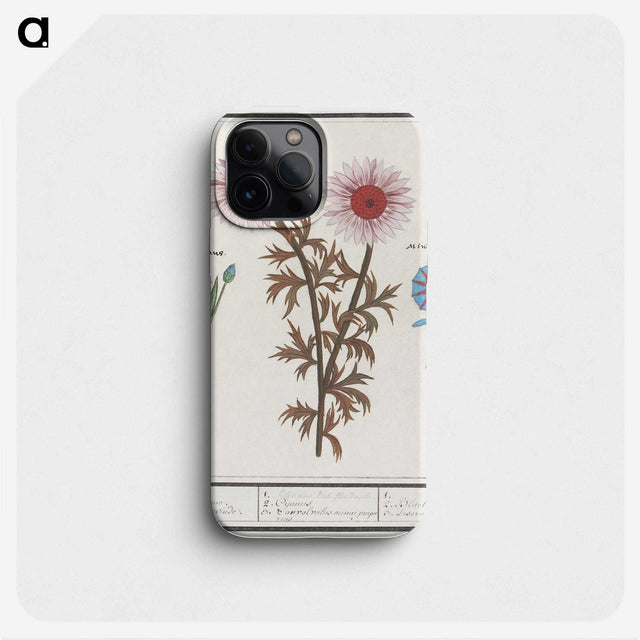 2-76_Anselmus-Boetius-de-Boodt_phone