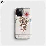 Unknown Flower, Cornflower, Centaurea cyanus and bindweed - アンセルムス ボエティウス デ ブート Phone Case.