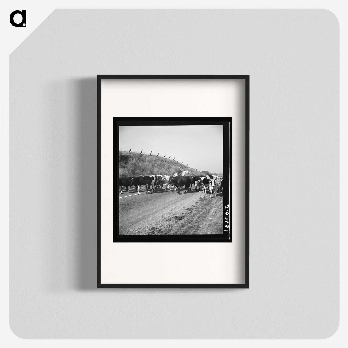 2-76_Dorothea-Lange_blk