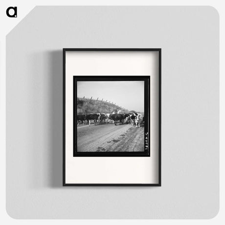 2-76_Dorothea-Lange_blk