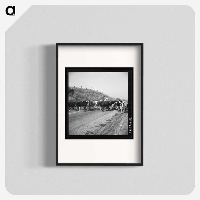 2-76_Dorothea-Lange_blk
