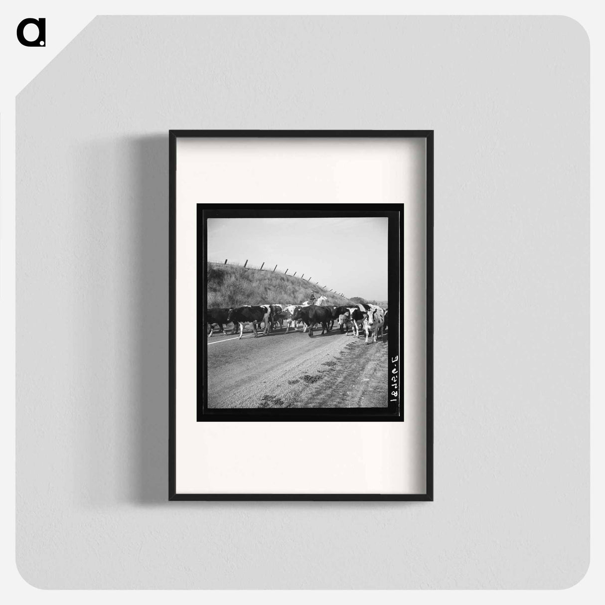 Untitled photo - Dorothea Lange Poster.