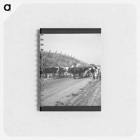アートメモ帳-Untitled photo - ドロテア ラング Memo.