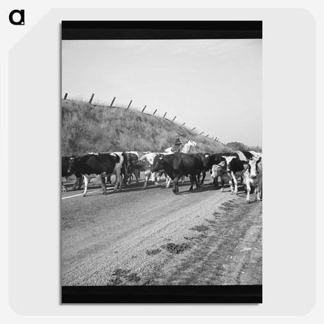2-76_Dorothea-Lange_picture-crop