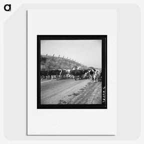 2-76_Dorothea-Lange_picture