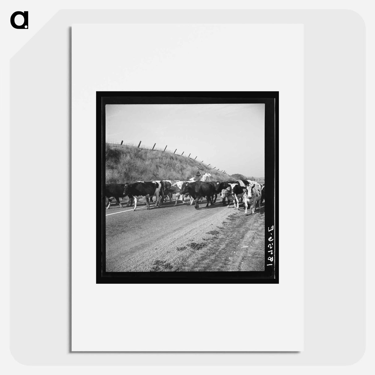 Untitled photo - Dorothea Lange Poster.