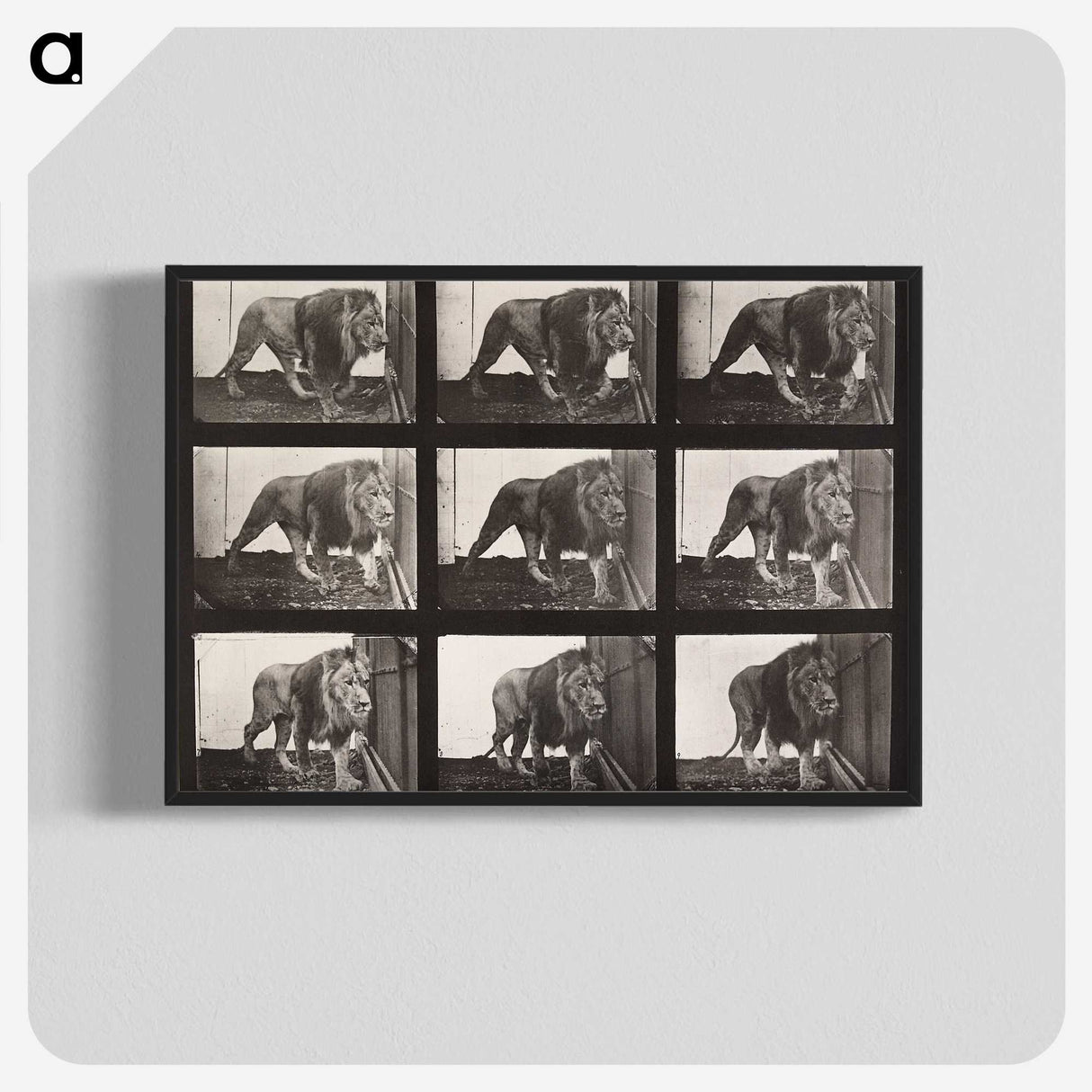 2-76_Eadweard-Muybridge_blk-crop