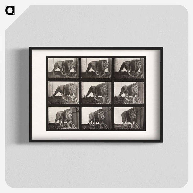 2-76_Eadweard-Muybridge_blk