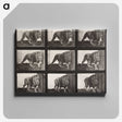 2-76_Eadweard-Muybridge_canvas