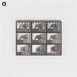 2-76_Eadweard-Muybridge_memo