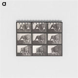 2-76_Eadweard-Muybridge_memo