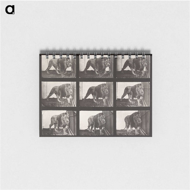 2-76_Eadweard-Muybridge_memo