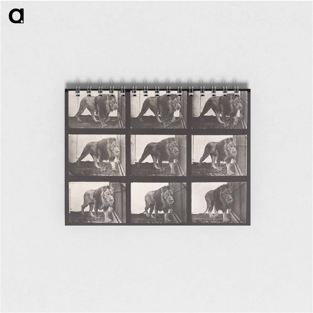 アートメモ帳-Animal Locomotion Plate 721
 - エドワード マイブリッジ Memo.