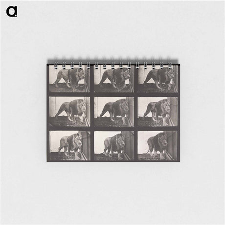 アートメモ帳-Animal Locomotion Plate 721
 - エドワード マイブリッジ Memo.