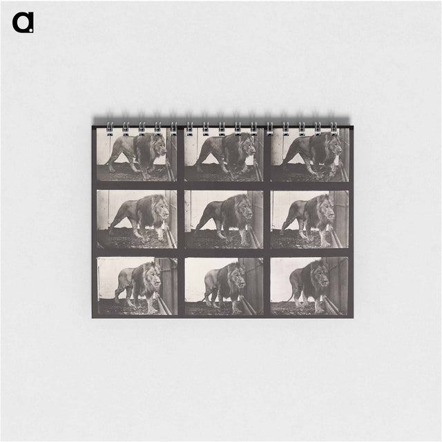 アートメモ帳-Animal Locomotion Plate 721
 - エドワード マイブリッジ Memo.