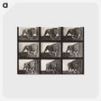 2-76_Eadweard-Muybridge_postcard