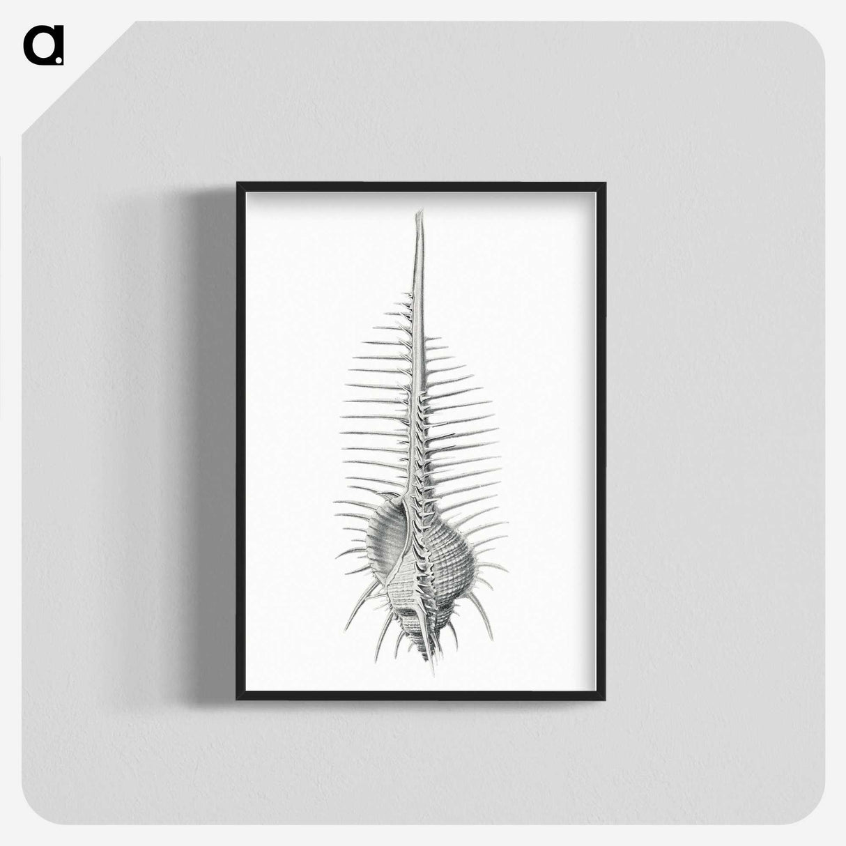 2-76_Ernst-Haeckel_blk-crop