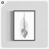 2-76_Ernst-Haeckel_blk-crop
