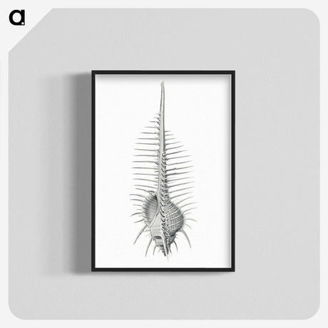 2-76_Ernst-Haeckel_blk-crop