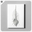 2-76_Ernst-Haeckel_canvas