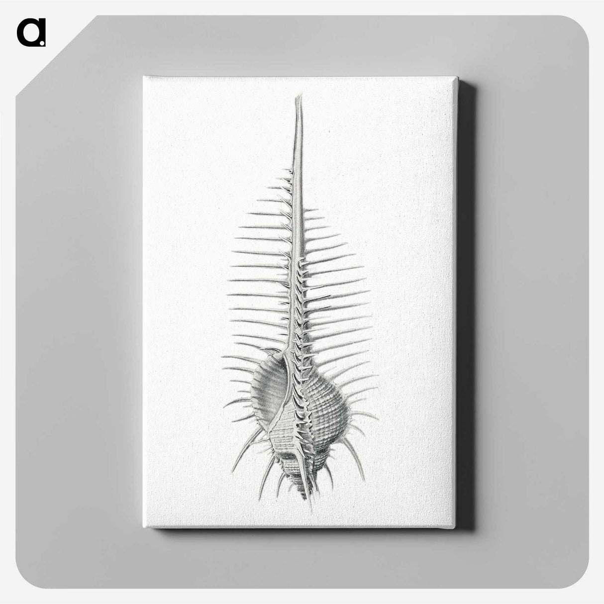 2-76_Ernst-Haeckel_canvas