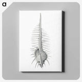 2-76_Ernst-Haeckel_canvas