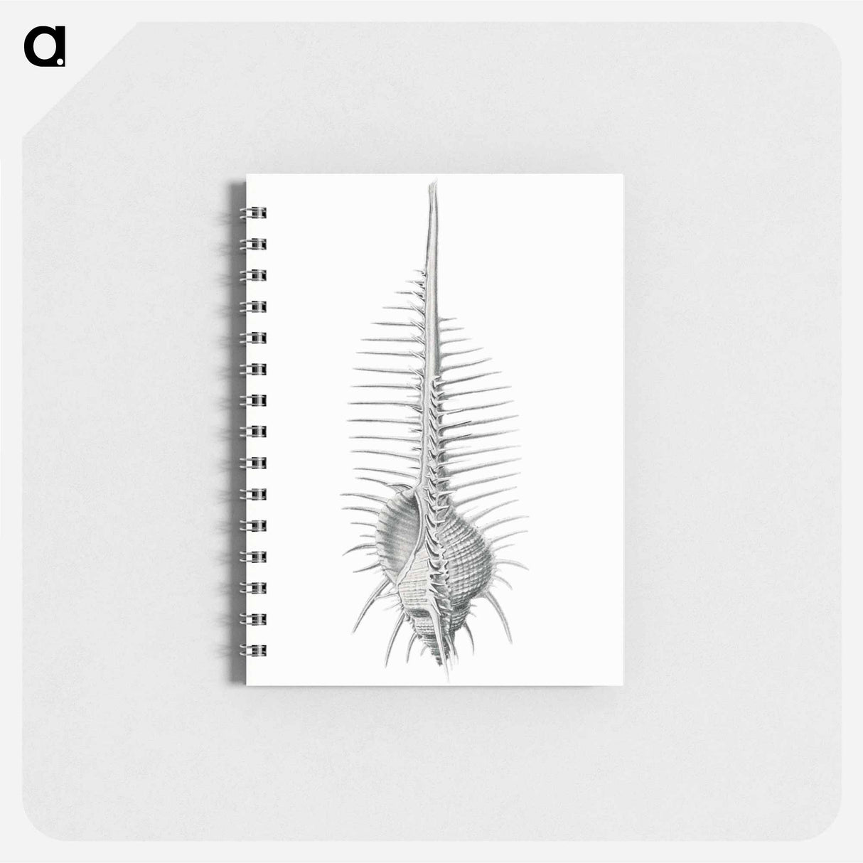 アートメモ帳-Vintage shell marine life illustration - エルンスト ヘッケル Memo.
