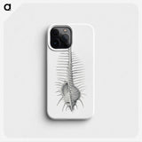 2-76_Ernst-Haeckel_phone