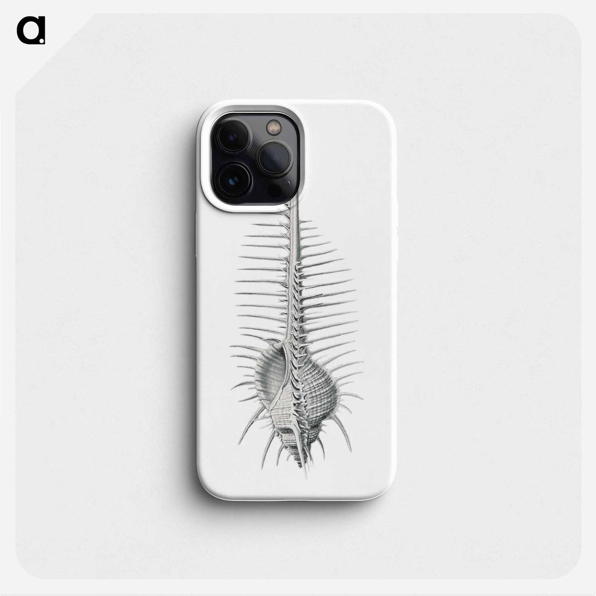 Vintage shell marine life illustration - エルンスト ヘッケル Phone Case.