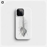 Vintage shell marine life illustration - エルンスト ヘッケル Phone Case.
