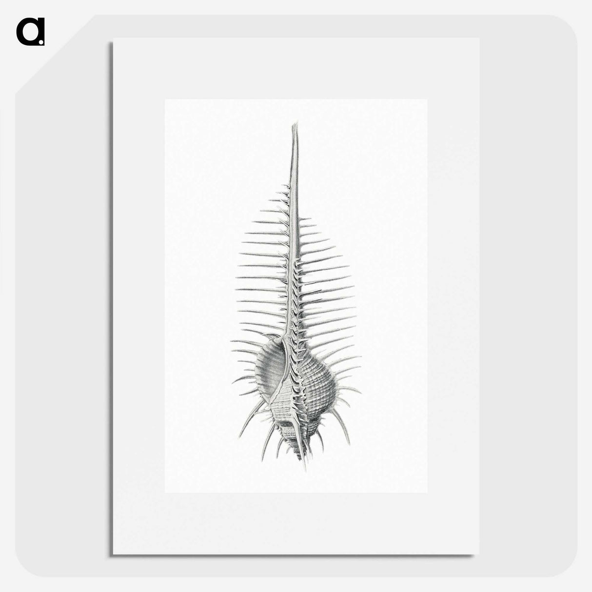 2-76_Ernst-Haeckel_picture