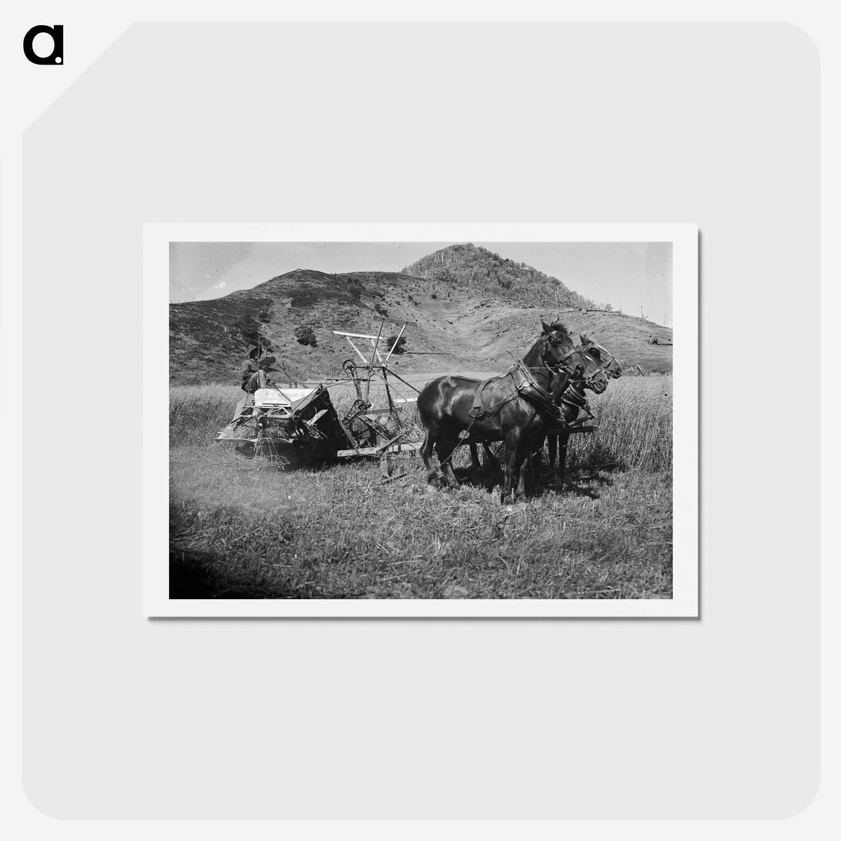 2-76_Frederick-Charles-Brockett_hagaki