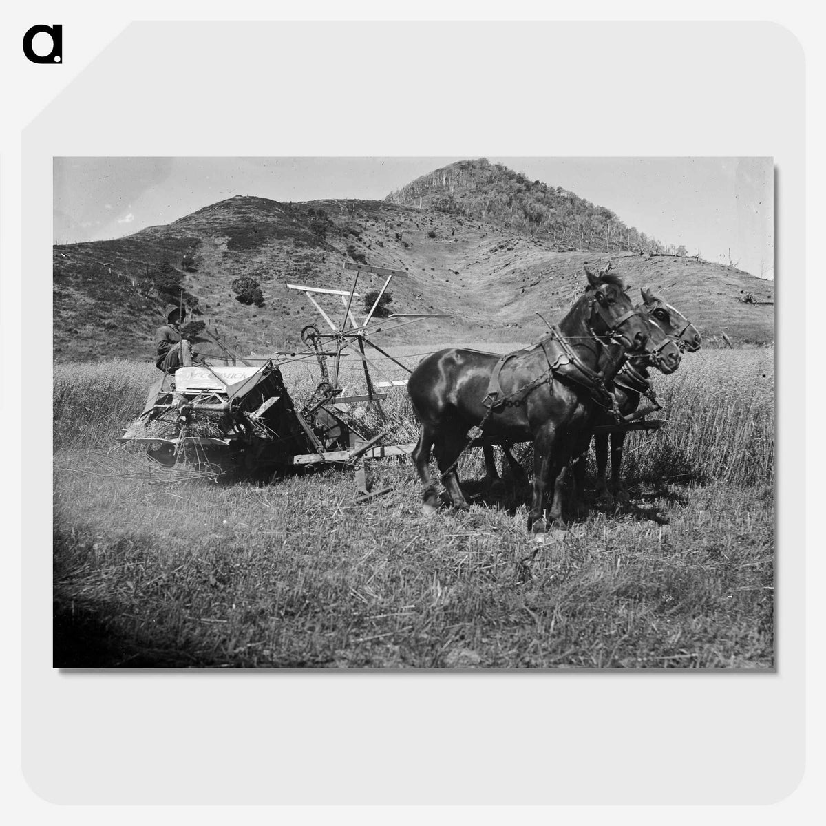 2-76_Frederick-Charles-Brockett_picture-crop
