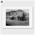 2-76_Frederick-Charles-Brockett_picture