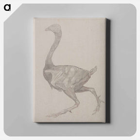 アートパネル-Fowl Body, Lateral View
 - ジョージ スタッブス Canvas.
