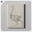 2-76_George-Stubbs_canvas