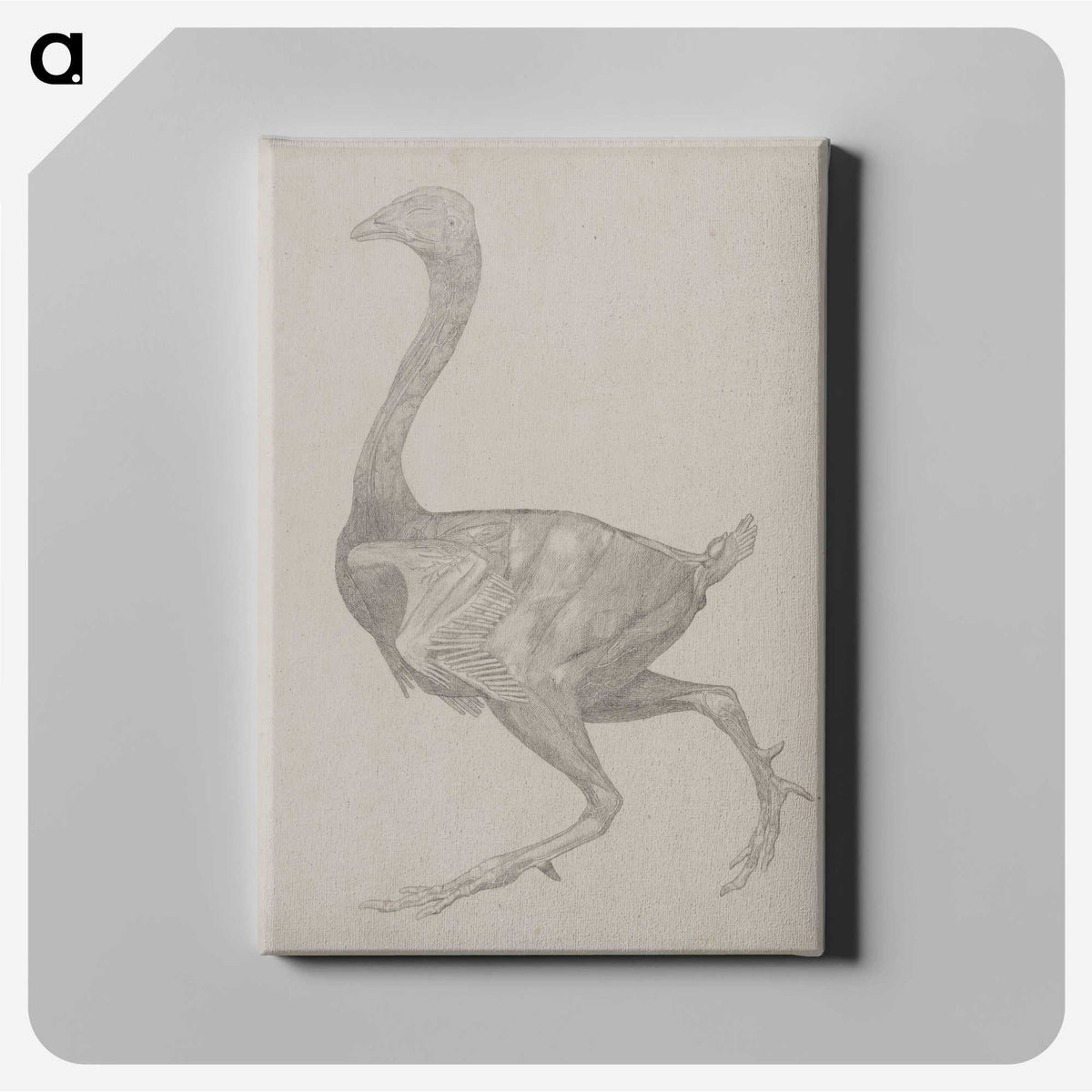 2-76_George-Stubbs_canvas