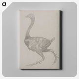 2-76_George-Stubbs_canvas