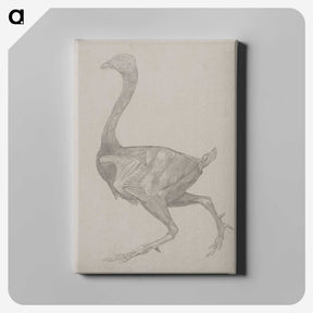 2-76_George-Stubbs_canvas