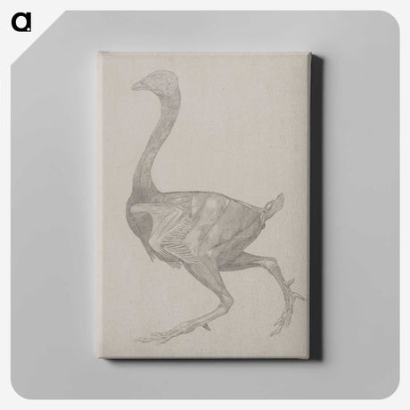 2-76_George-Stubbs_canvas