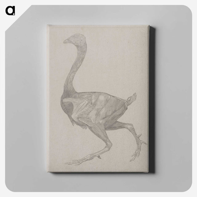 2-76_George-Stubbs_canvas