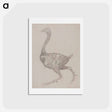 アートポストカード-Fowl Body, Lateral View
 - ジョージ スタッブス Postcard.